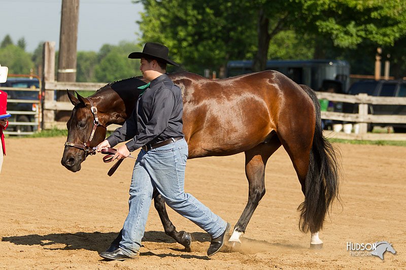 4H-2nd-Show-11_0947.jpg