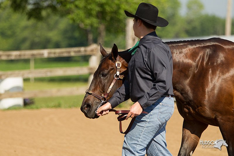 4H-2nd-Show-11_0948.jpg