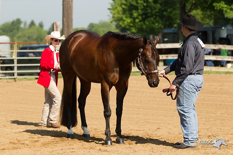 4H-2nd-Show-11_0949.jpg