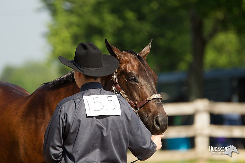 4H-2nd-Show-11_0950.jpg