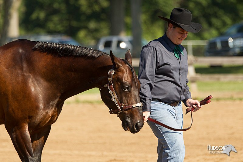 4H-2nd-Show-11_0952.jpg