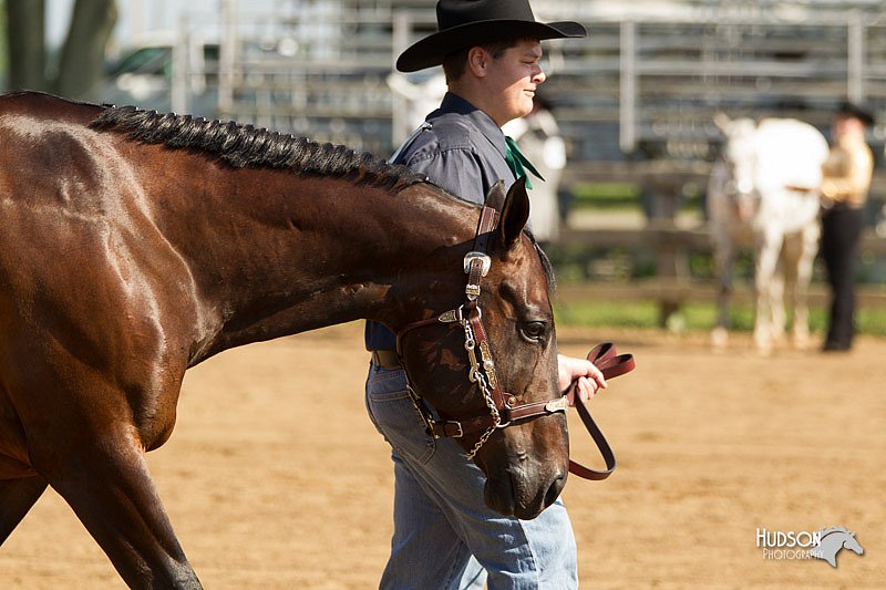 4H-2nd-Show-11_0954.jpg