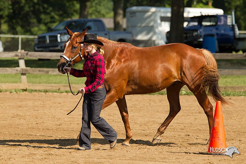 4H-2nd-Show-11_0955.jpg