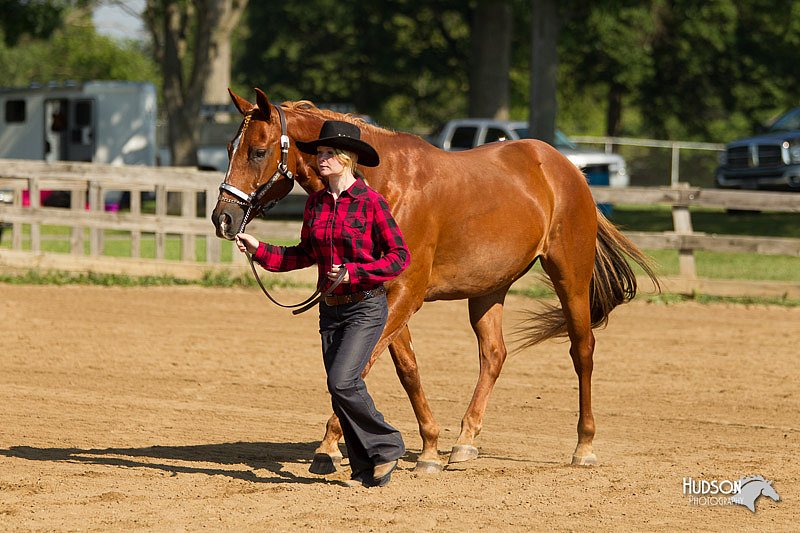 4H-2nd-Show-11_0956.jpg