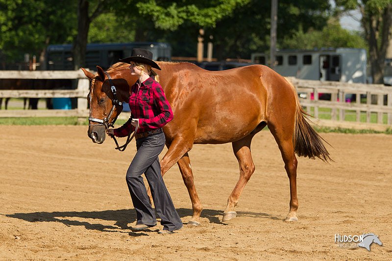 4H-2nd-Show-11_0958.jpg