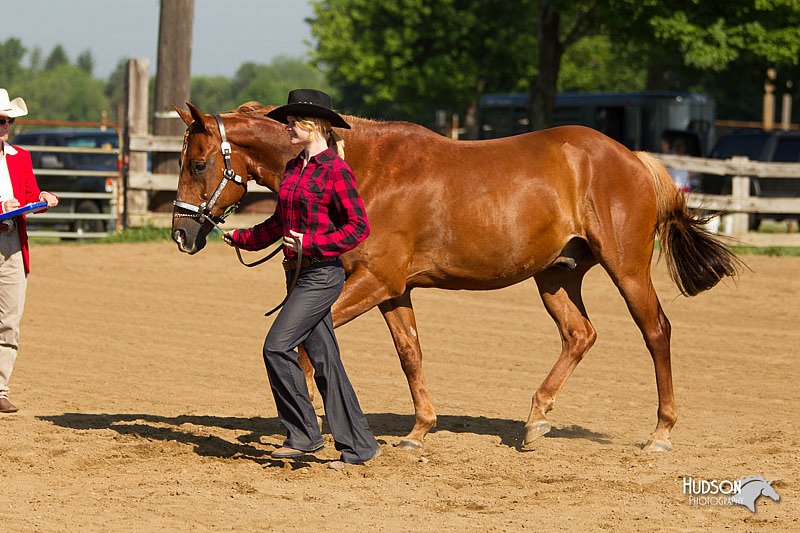 4H-2nd-Show-11_0959.jpg