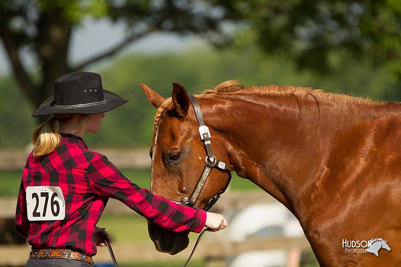 4H-2nd-Show-11_0961.jpg