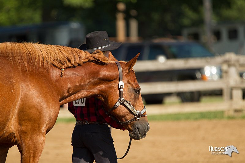 4H-2nd-Show-11_0962.jpg