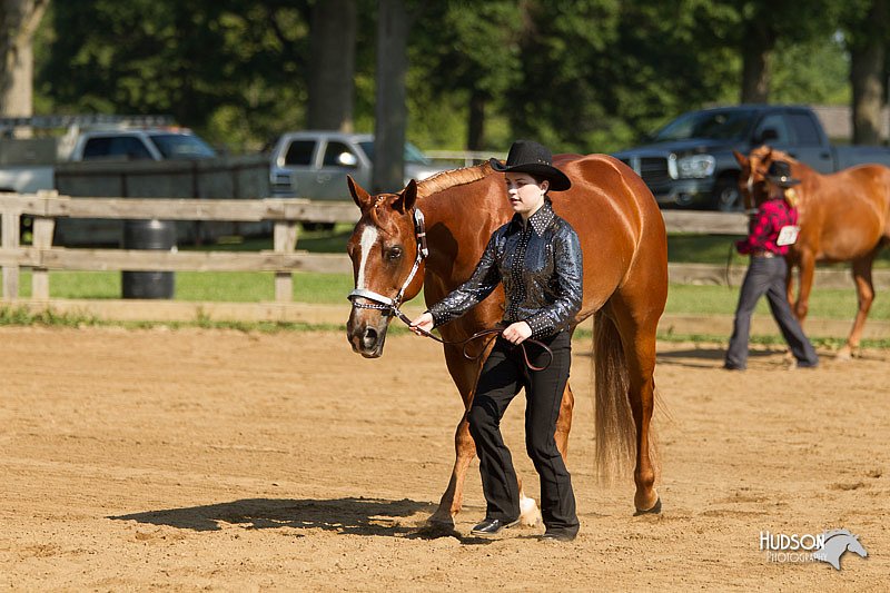 4H-2nd-Show-11_0963.jpg