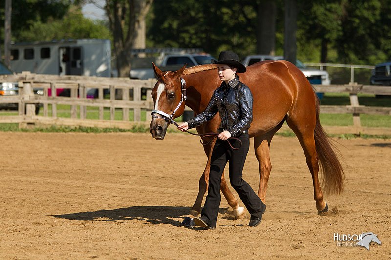 4H-2nd-Show-11_0964.jpg