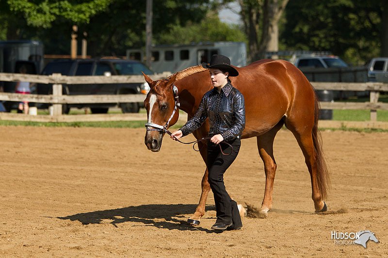 4H-2nd-Show-11_0965.jpg