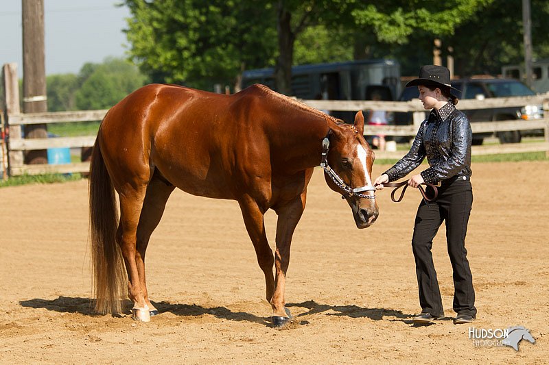 4H-2nd-Show-11_0967.jpg