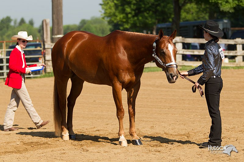 4H-2nd-Show-11_0968.jpg