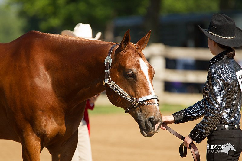 4H-2nd-Show-11_0969.jpg