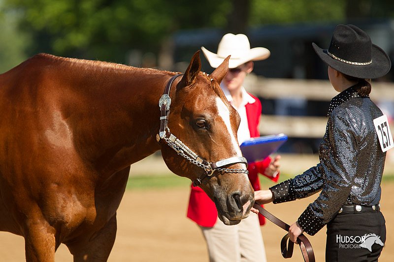 4H-2nd-Show-11_0970.jpg