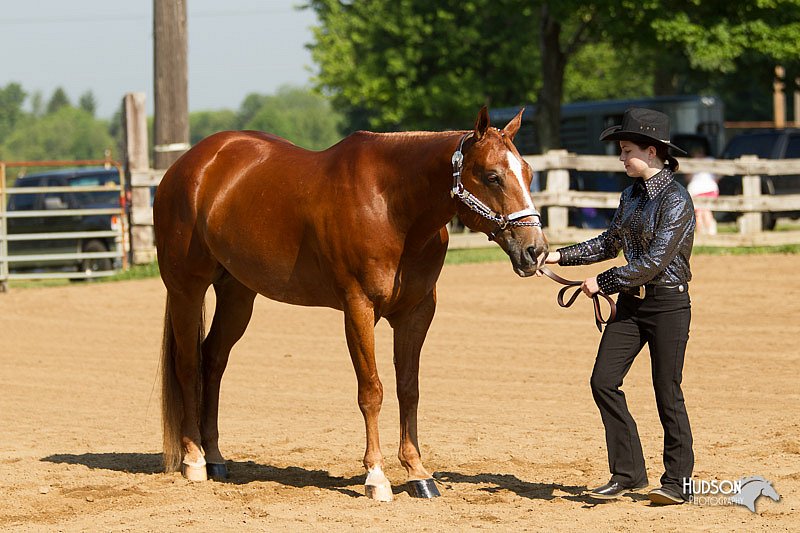 4H-2nd-Show-11_0973.jpg