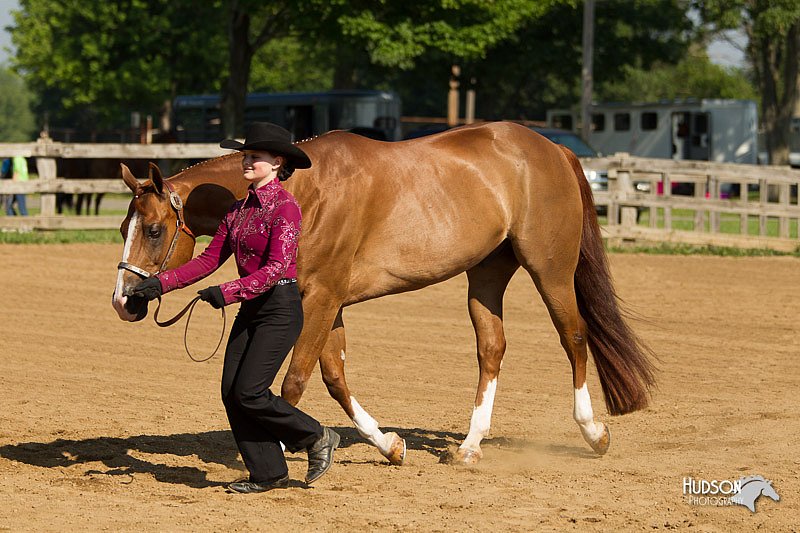 4H-2nd-Show-11_0978.jpg