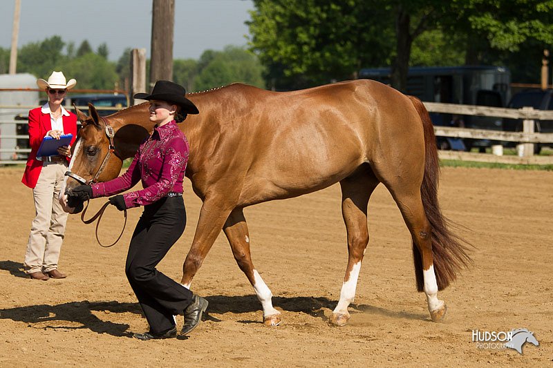 4H-2nd-Show-11_0979.jpg