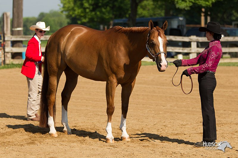 4H-2nd-Show-11_0981.jpg