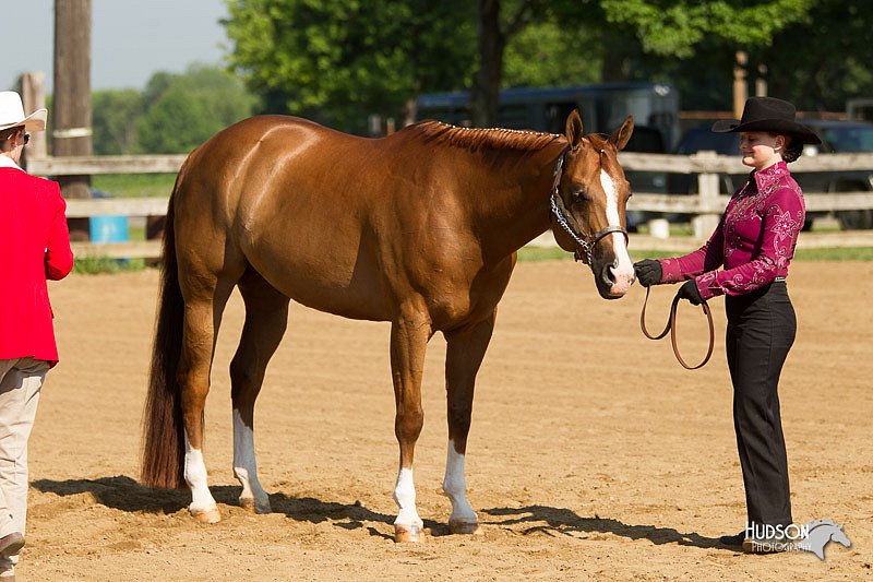 4H-2nd-Show-11_0982.jpg