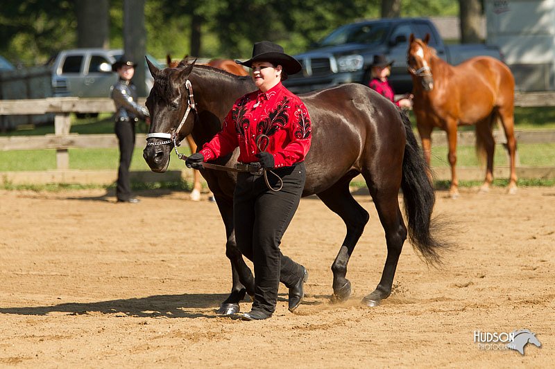 4H-2nd-Show-11_0985.jpg