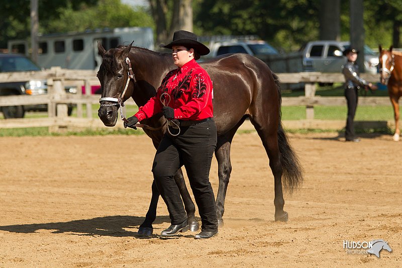 4H-2nd-Show-11_0986.jpg