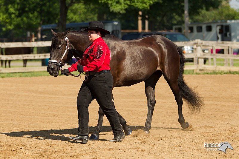 4H-2nd-Show-11_0988.jpg