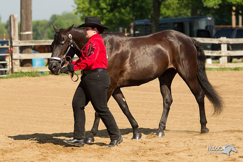 4H-2nd-Show-11_0989.jpg