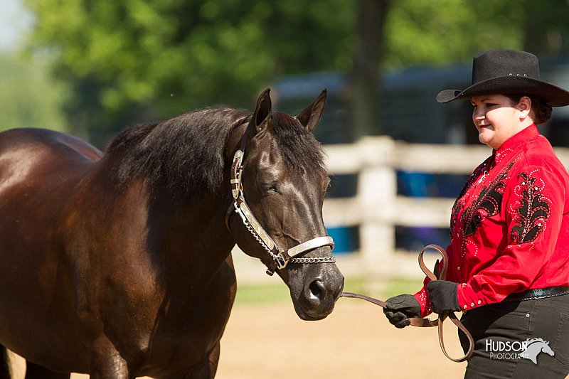 4H-2nd-Show-11_0991.jpg