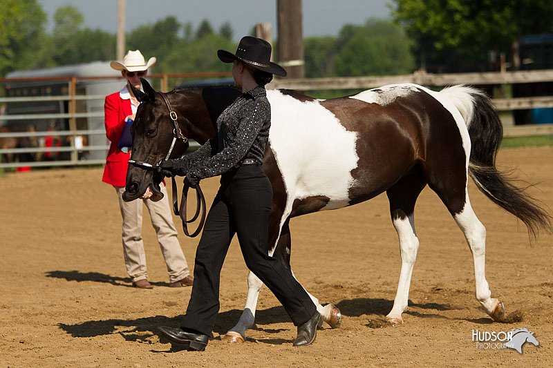 4H-2nd-Show-11_0997.jpg