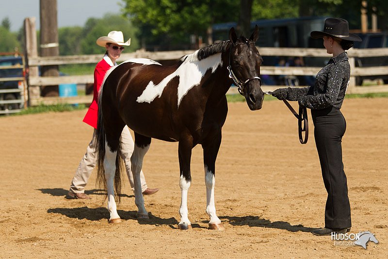 4H-2nd-Show-11_1000.jpg