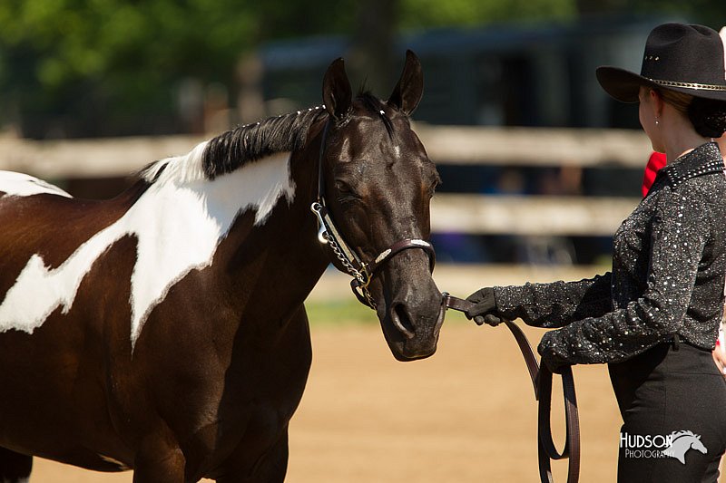 4H-2nd-Show-11_1001.jpg