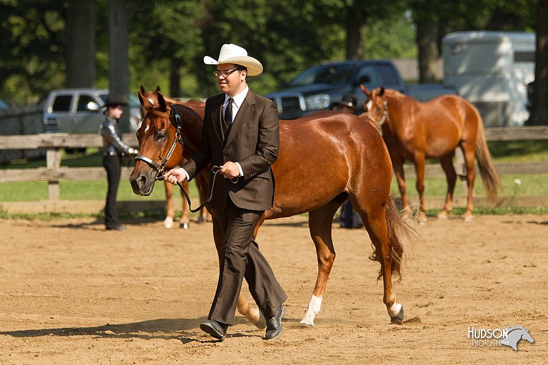 4H-2nd-Show-11_1006.jpg