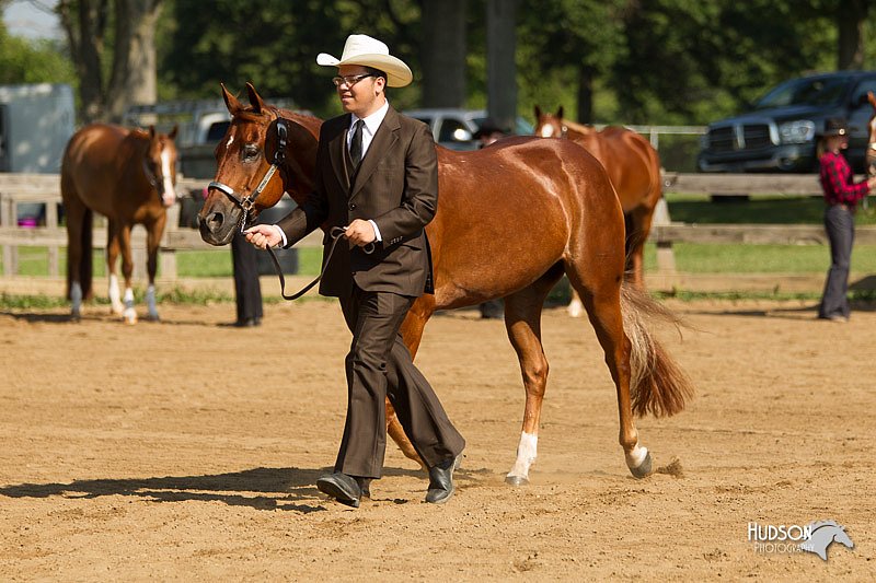 4H-2nd-Show-11_1007.jpg