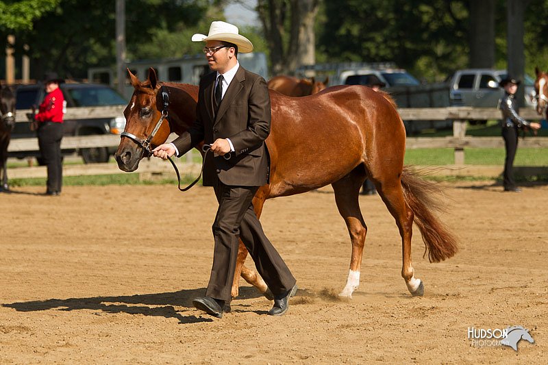 4H-2nd-Show-11_1008.jpg