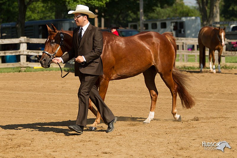 4H-2nd-Show-11_1009.jpg