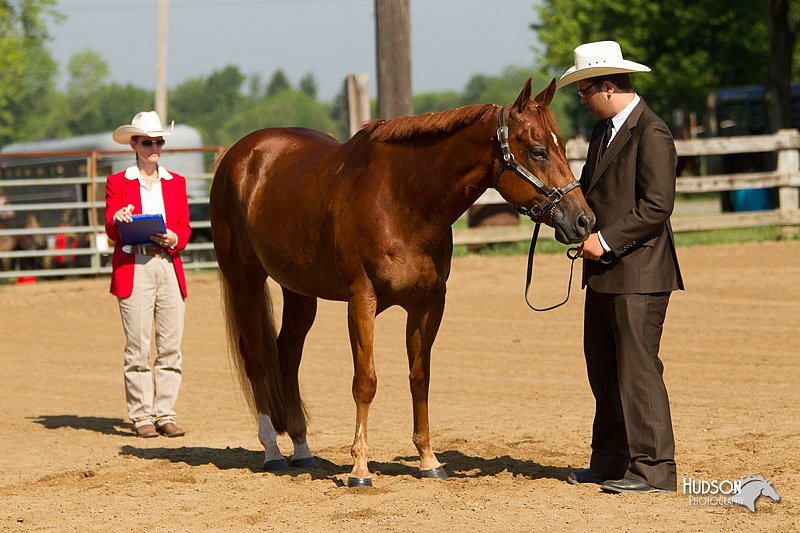 4H-2nd-Show-11_1011.jpg