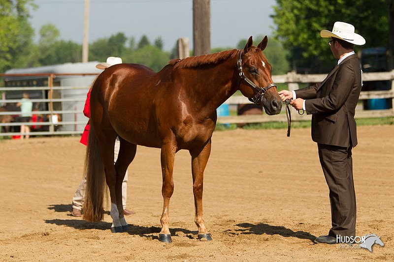 4H-2nd-Show-11_1013.jpg