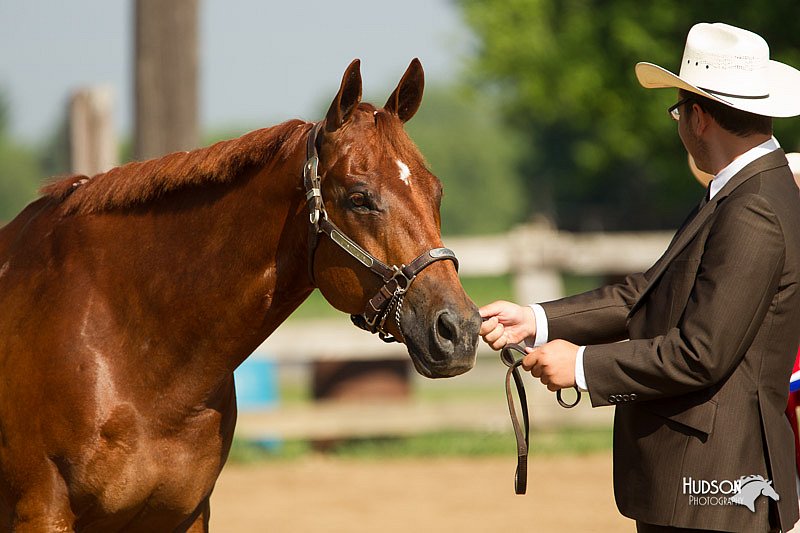 4H-2nd-Show-11_1014.jpg