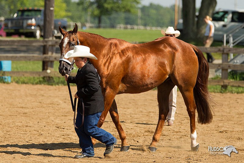 4H-2nd-Show-11_1023.jpg