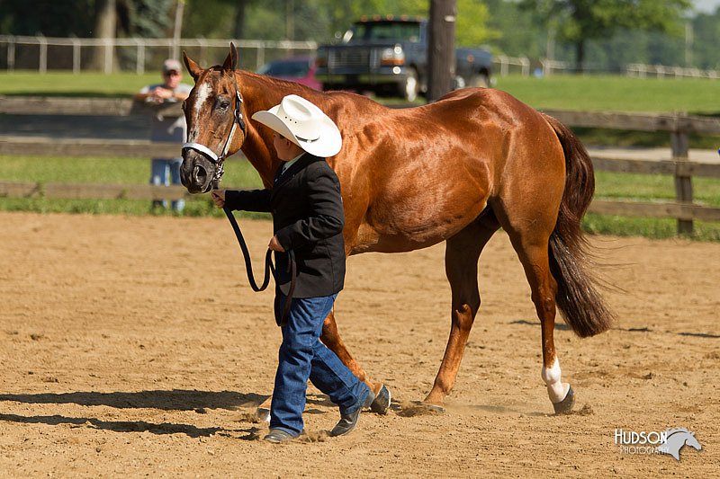 4H-2nd-Show-11_1024.jpg