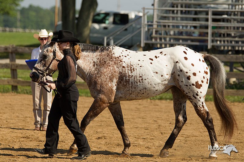 4H-2nd-Show-11_1027.jpg