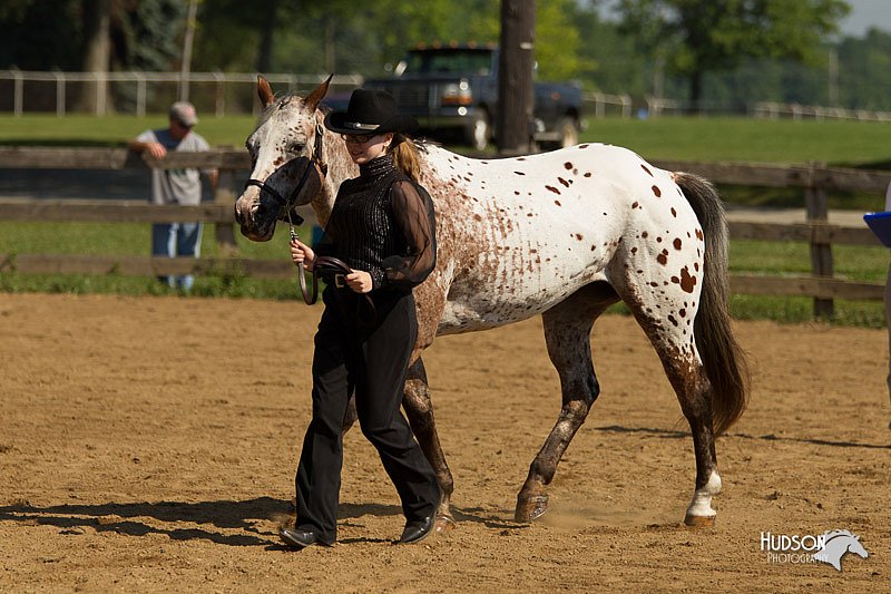 4H-2nd-Show-11_1028.jpg