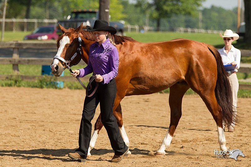 4H-2nd-Show-11_1033.jpg