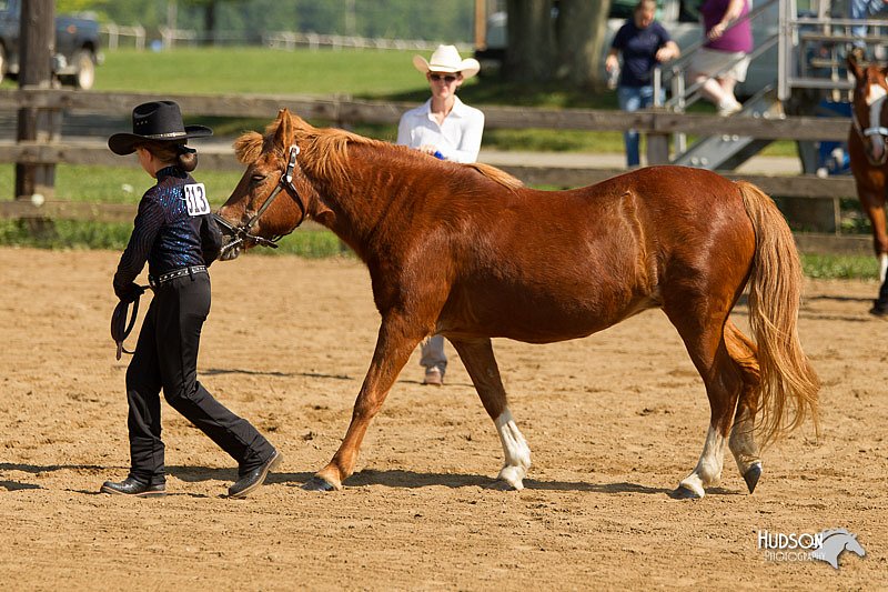 4H-2nd-Show-11_1037.jpg