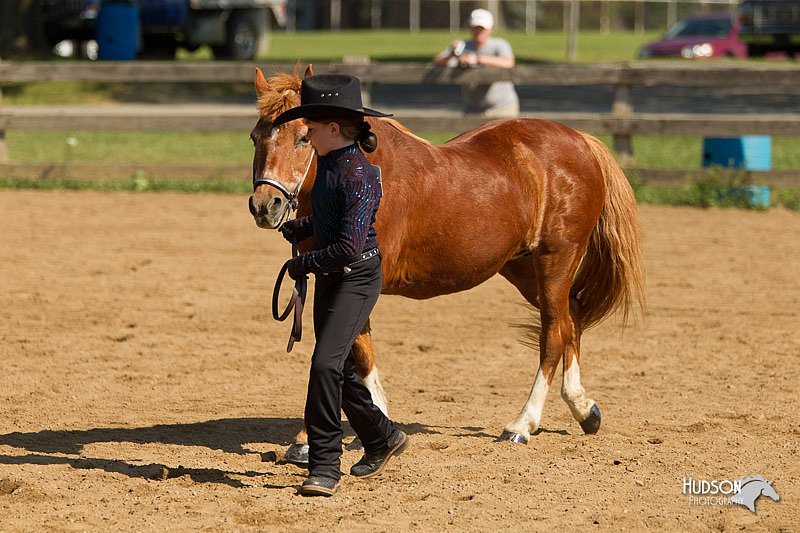 4H-2nd-Show-11_1038.jpg