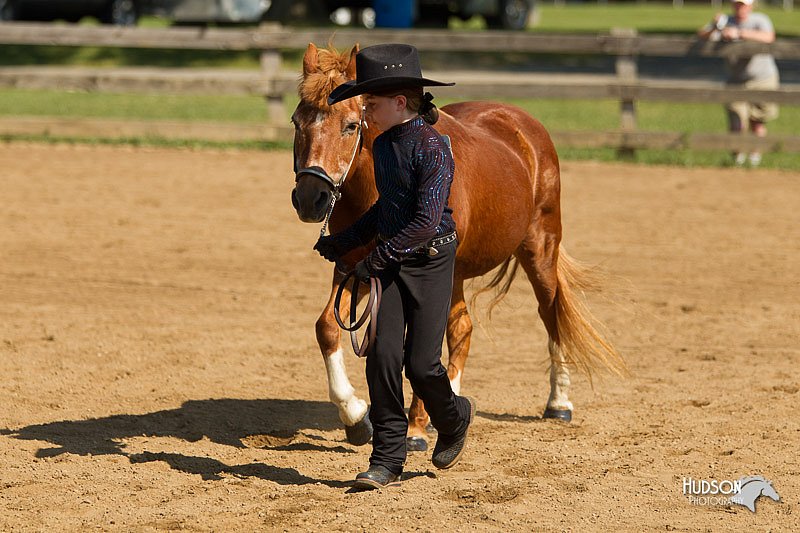 4H-2nd-Show-11_1039.jpg