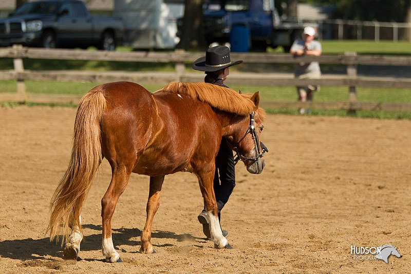 4H-2nd-Show-11_1041.jpg