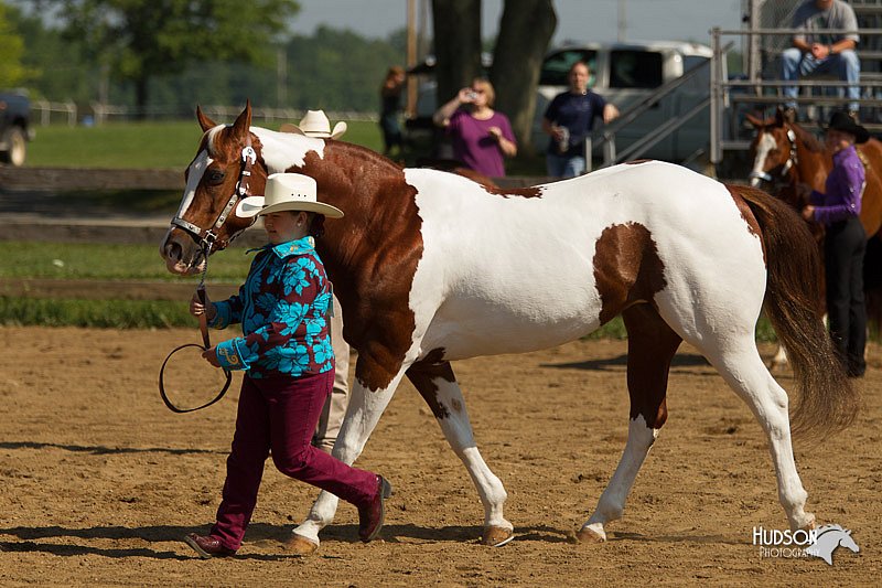 4H-2nd-Show-11_1042.jpg