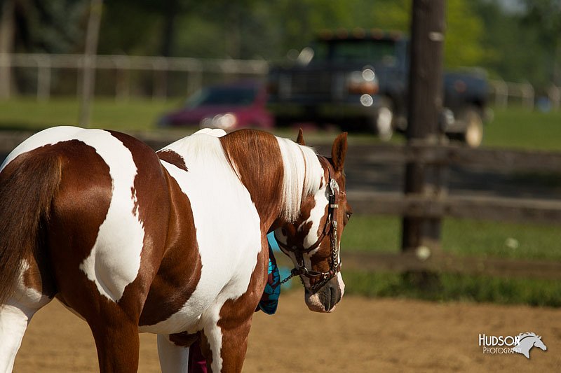 4H-2nd-Show-11_1048.jpg